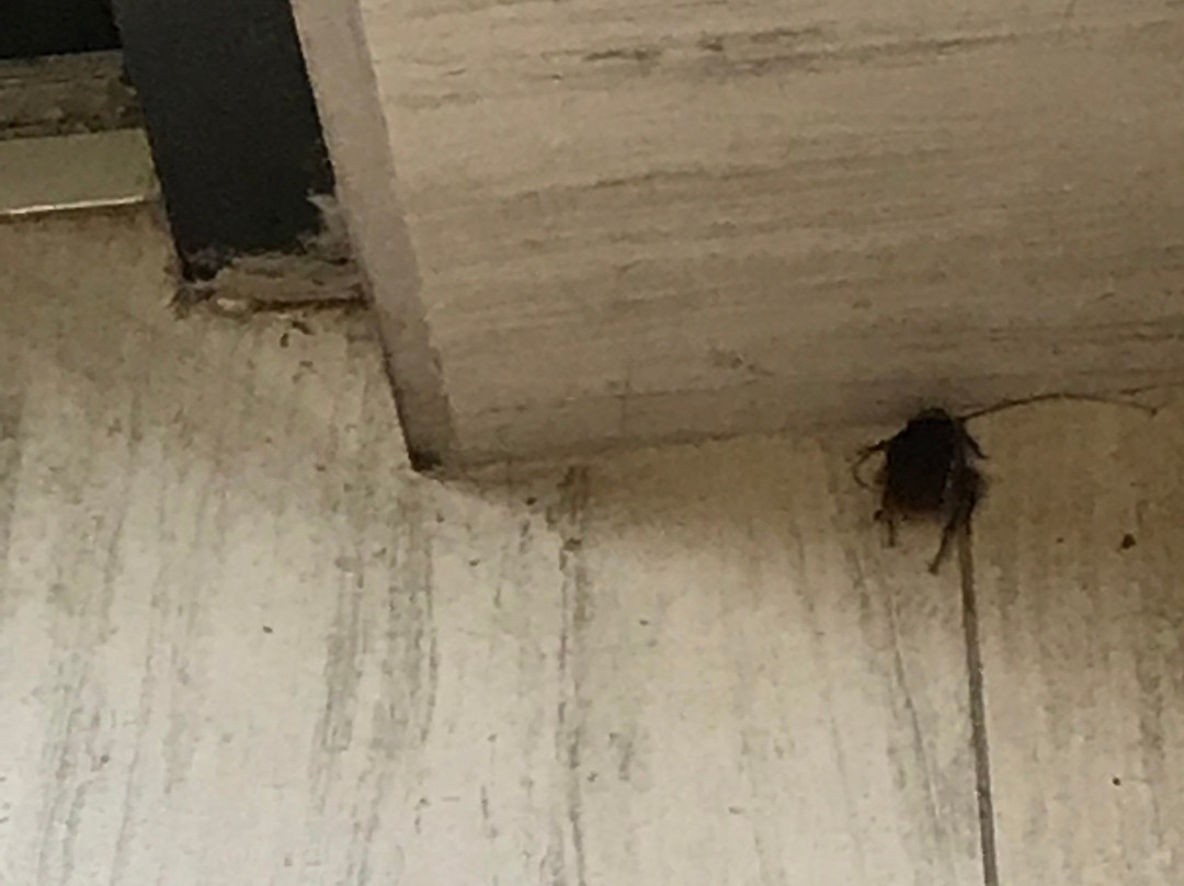 Wingate by Wyndham Montgomery主图