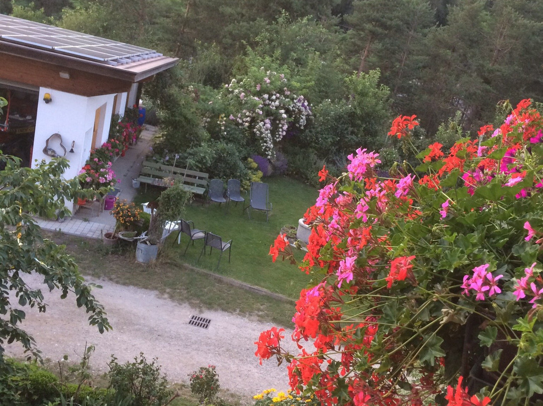 Peintnerhof Appartments & Zimmer主图