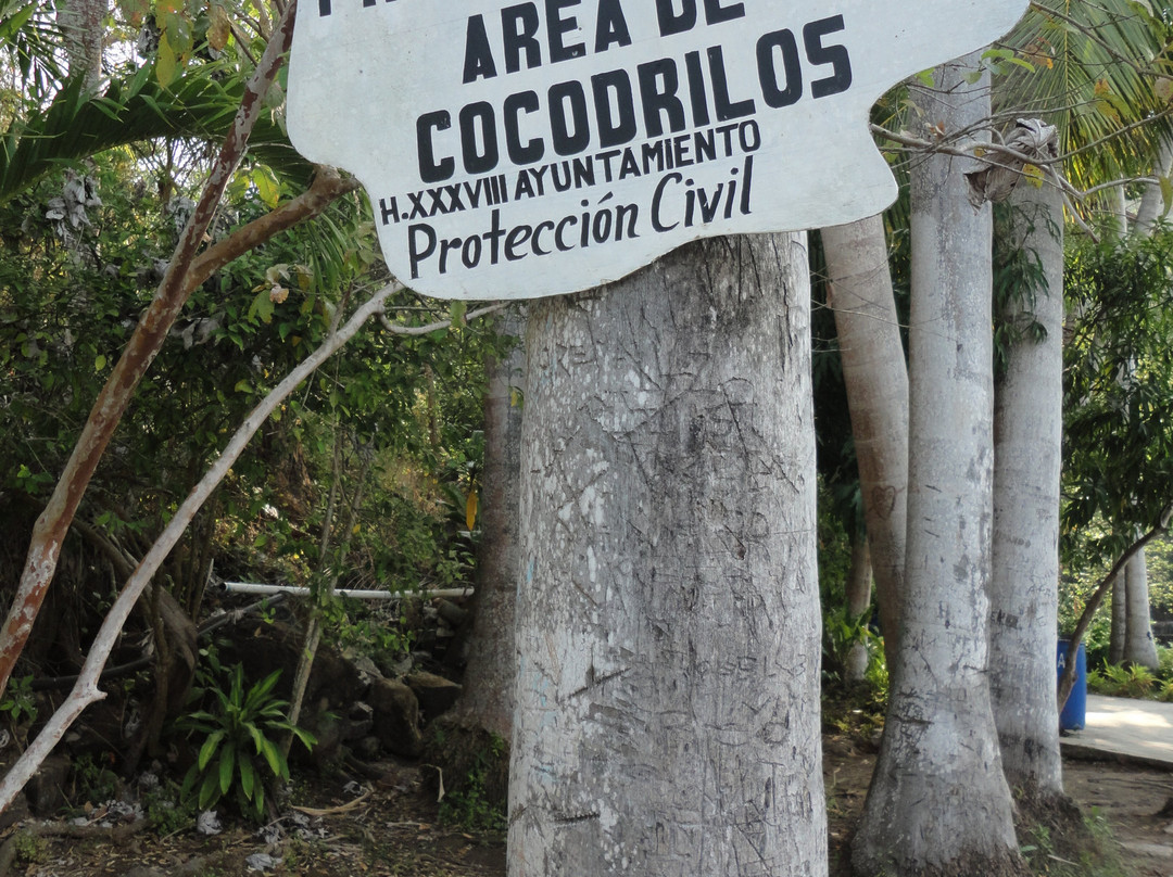 Cocodrilario Kiekari-San Blas必去景点