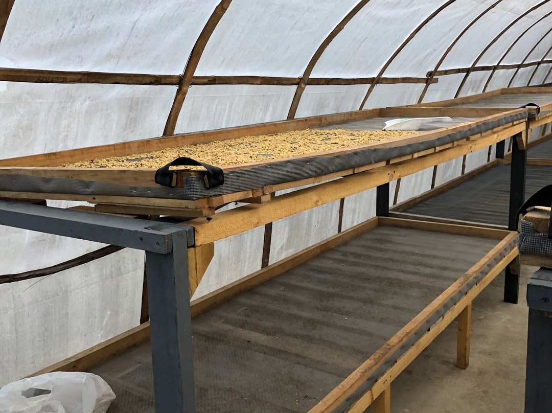 Observatorio Agroecologico el Cafetal-恩维加多必去景点