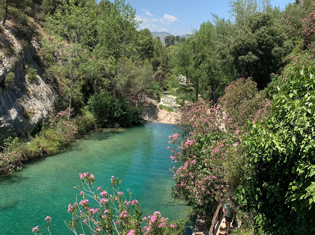 Casa de Los Lirios主图