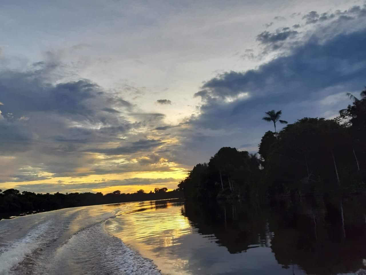 Lupuna Jungle Tours-家庭/游戏区