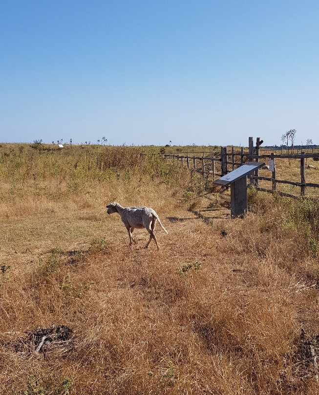 Ara della Regina-塔尔奎尼亚必去景点