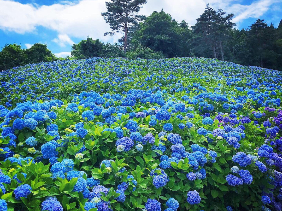 Akasaka Public Park-气仙沼市必去景点