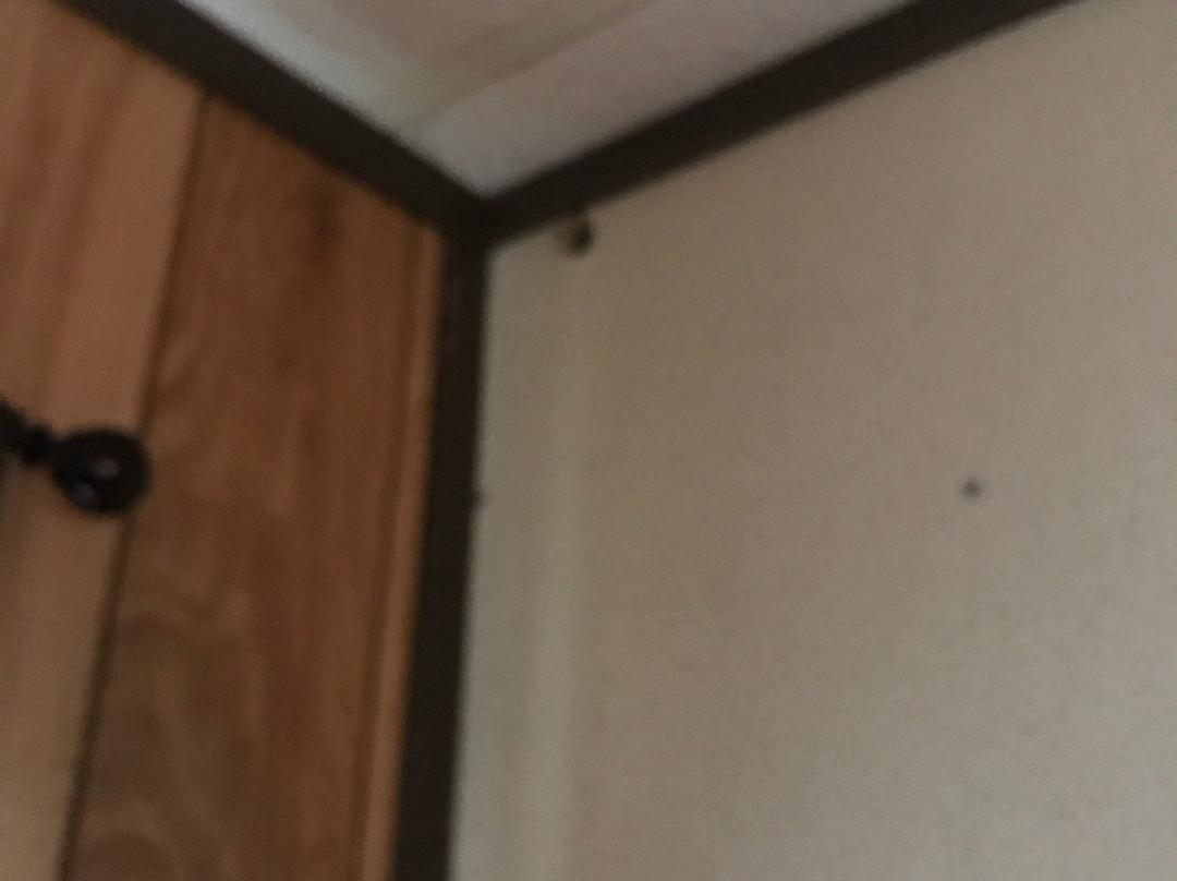 1202 Motor Inn主图