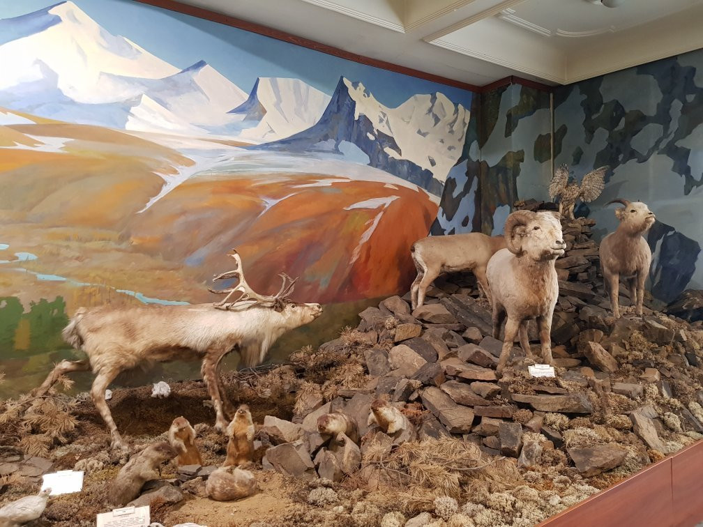 Chita Regional Kuznetsov Museum of Local Lore-赤塔必去景点