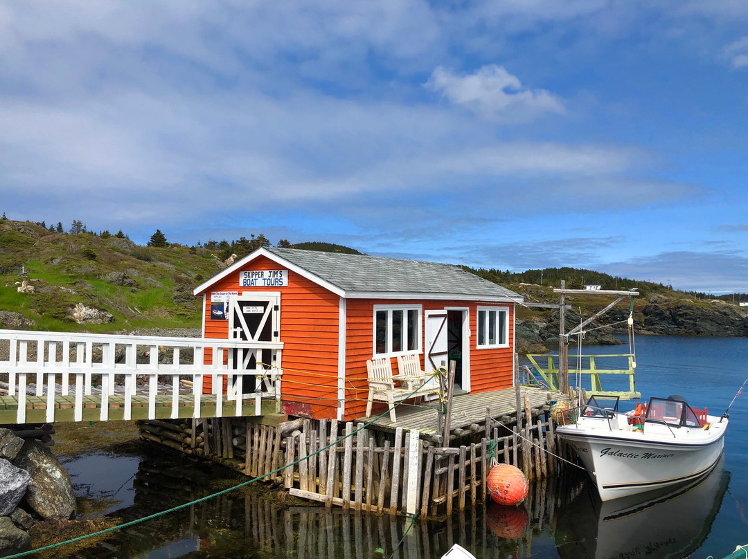 Skipper Jim's Boat Tour-Twillingate必去景点