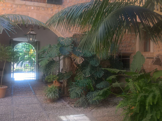 Finca Hotel Son Bleda主图