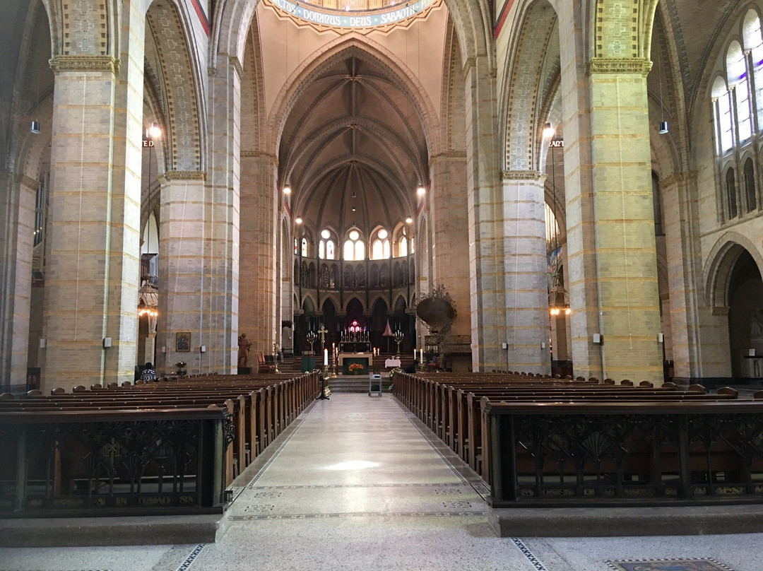 Cathedral of Saint Bavo景点图片