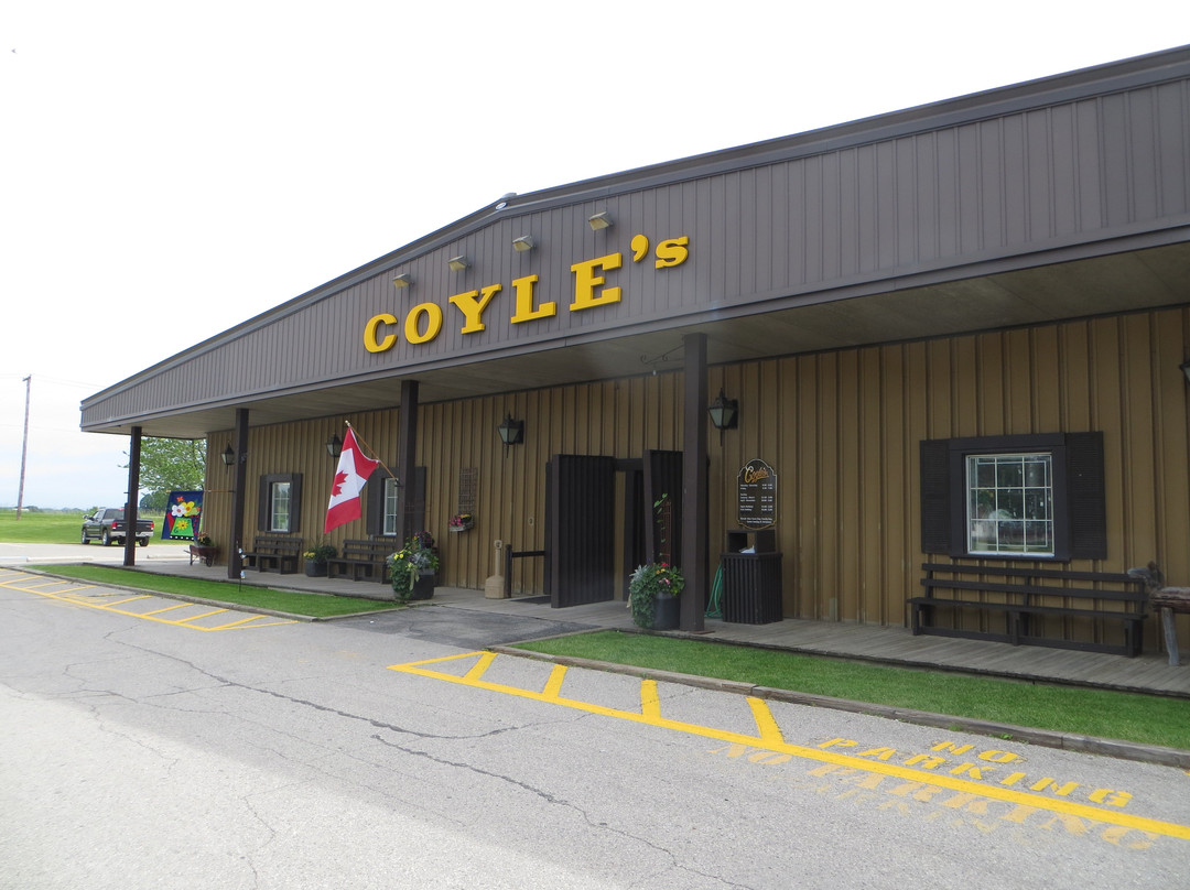 Coyle's Country Store景点图片