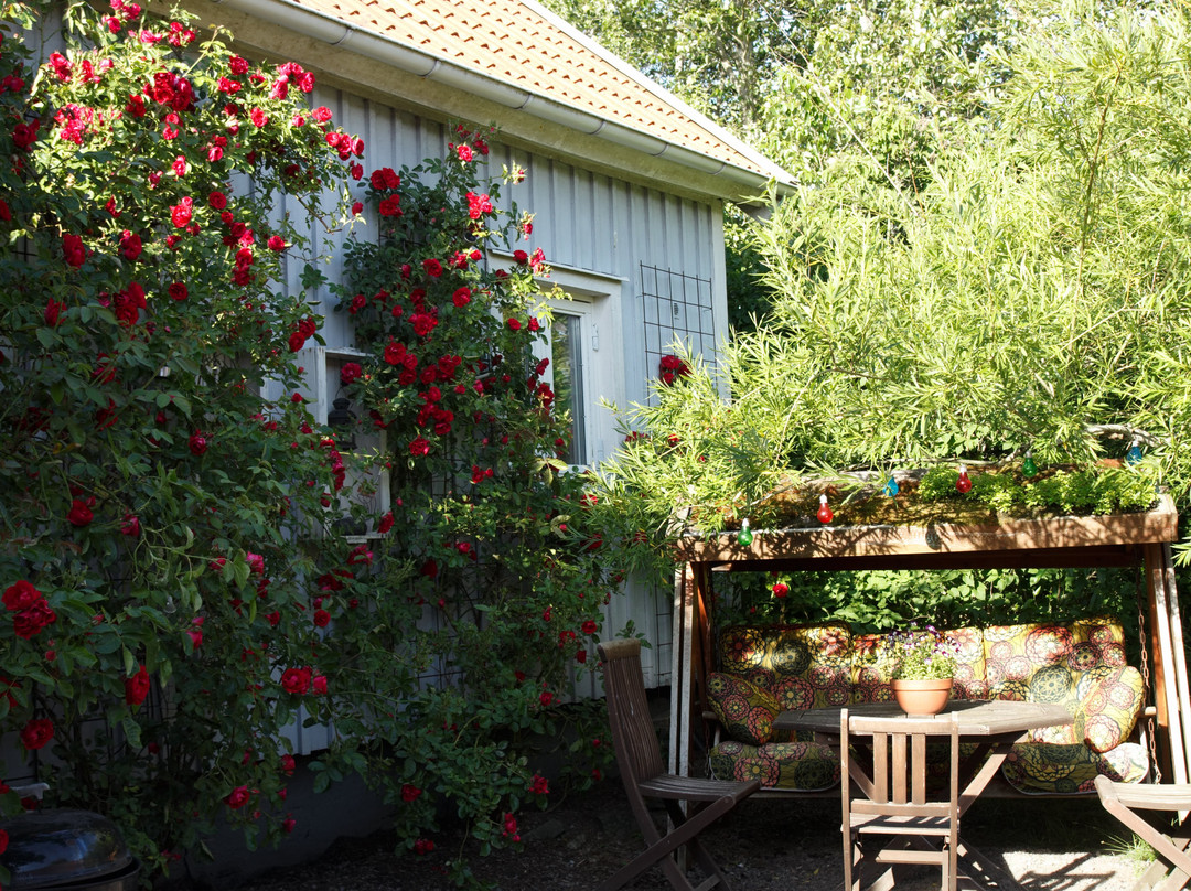 Zanzibar Bed and Breakfast主图