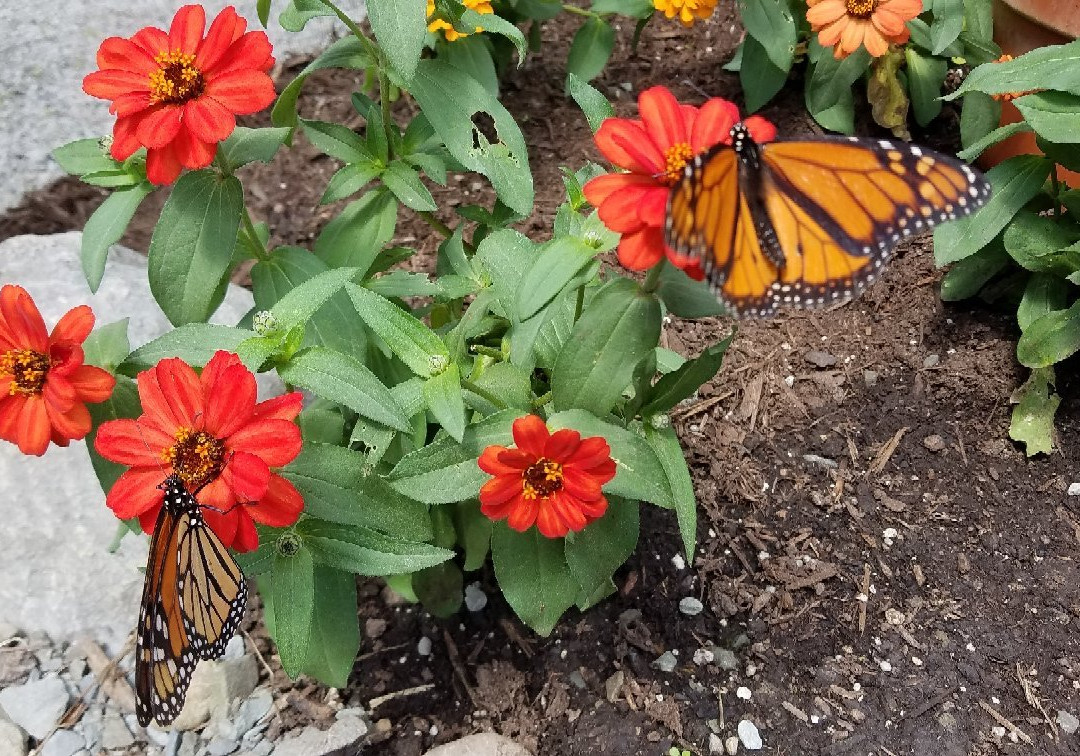 Creekside Gardens-Tunkhannock必去景点