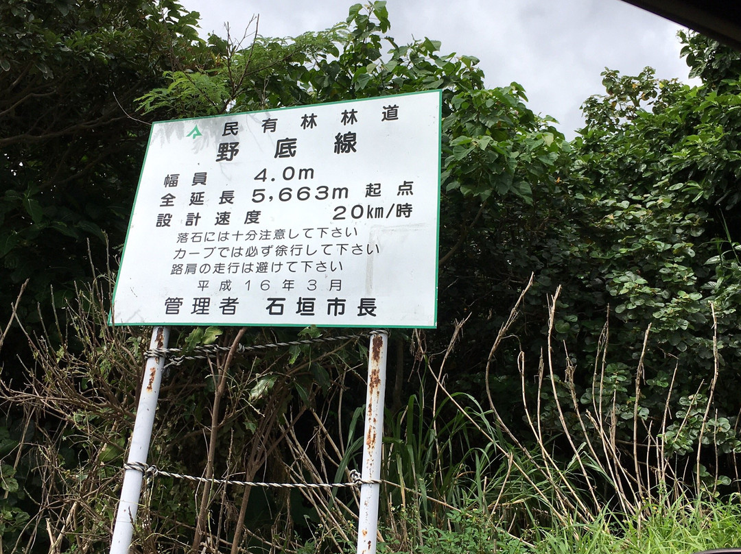 Nosoko Forest Road景点图片