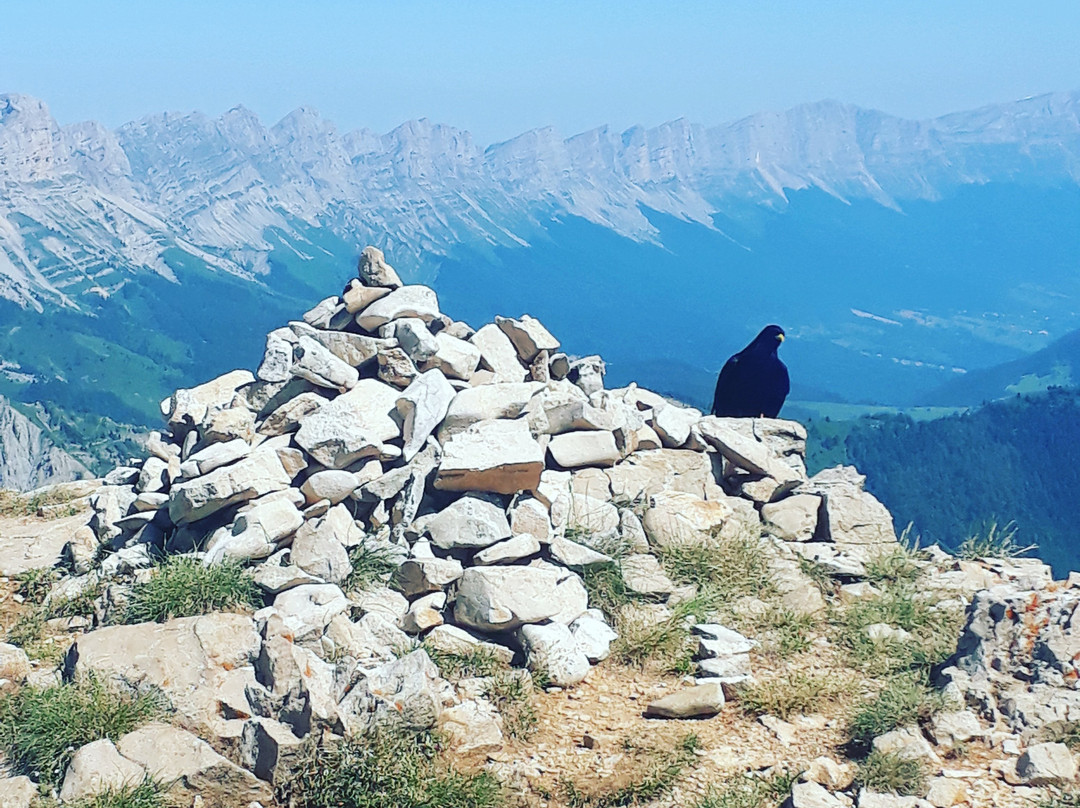 Bureau des Guides du Mont Aiguille Sud Dauphine景点图片