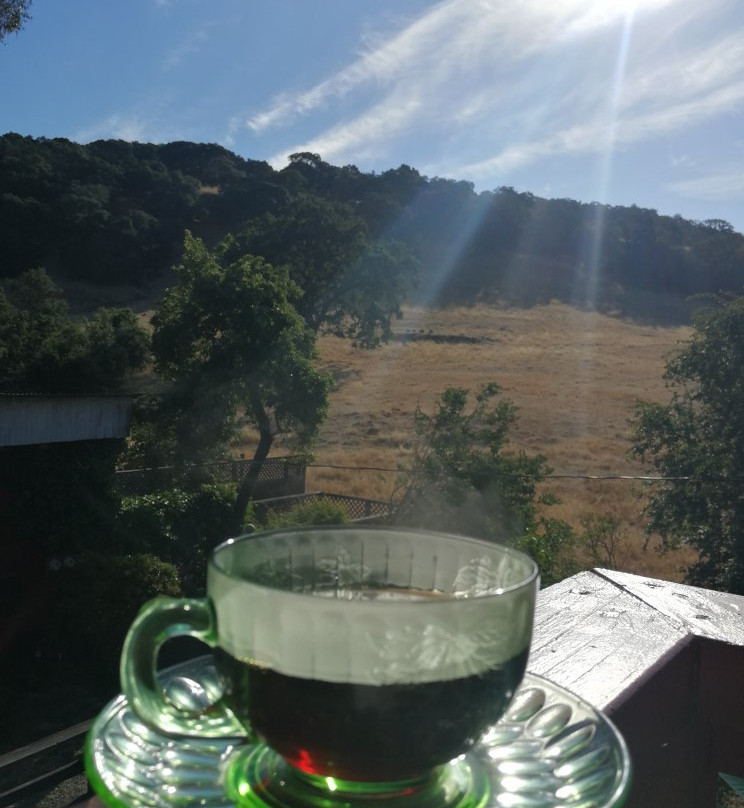 Sonoma Chalet Bed & Breakfast主图