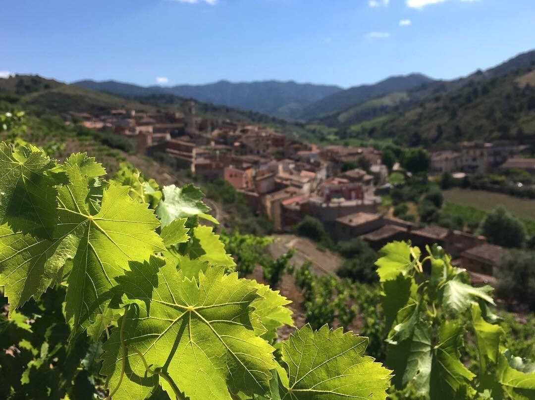 ALVAREZ DURAN PRIORAT景点图片