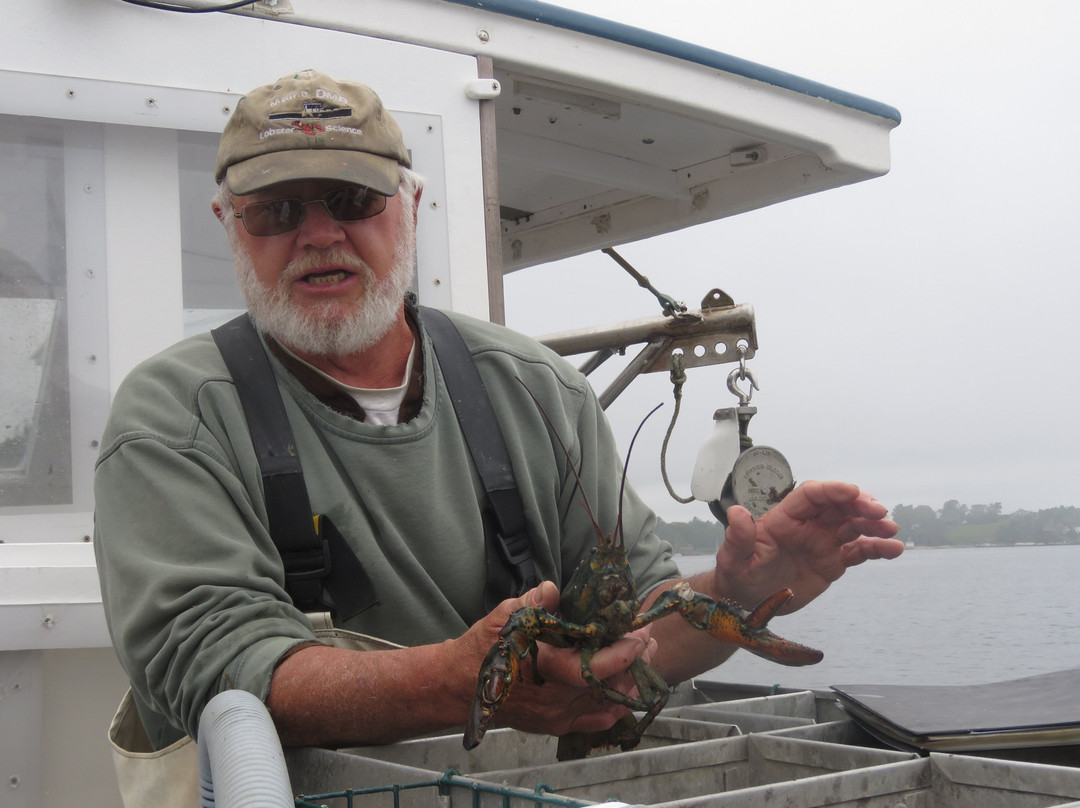 Lobster Boat Tour w/ Captain Clive Farrin景点图片