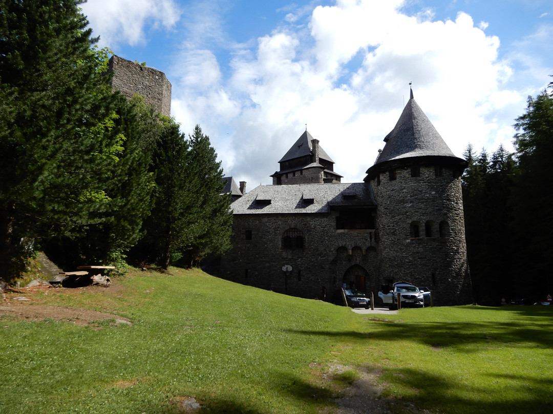 Burg Finstergrun景点图片