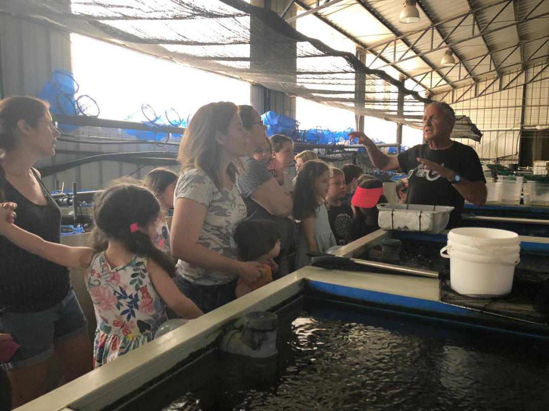 Ginat Fish - Meshek Ginal-Ein Yahav必去景点