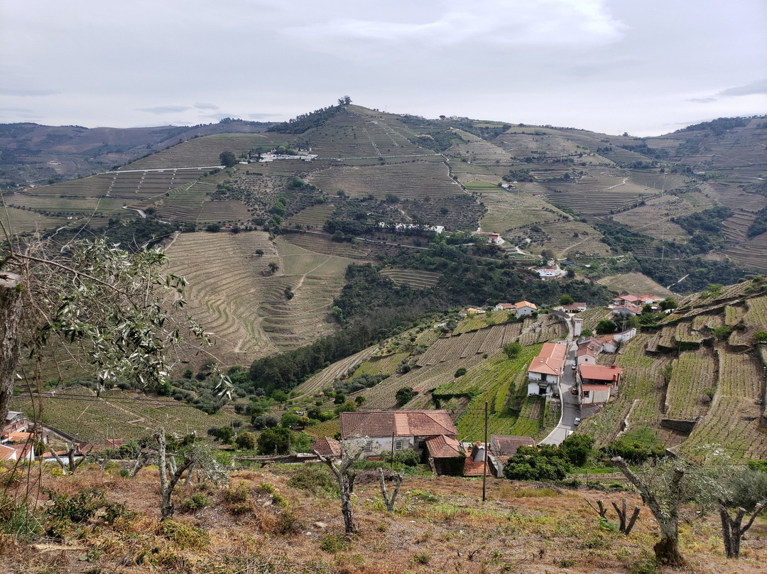 Mesao Provesende主图