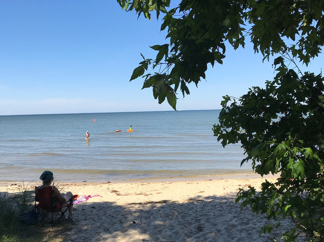 Elms Beach Park景点图片