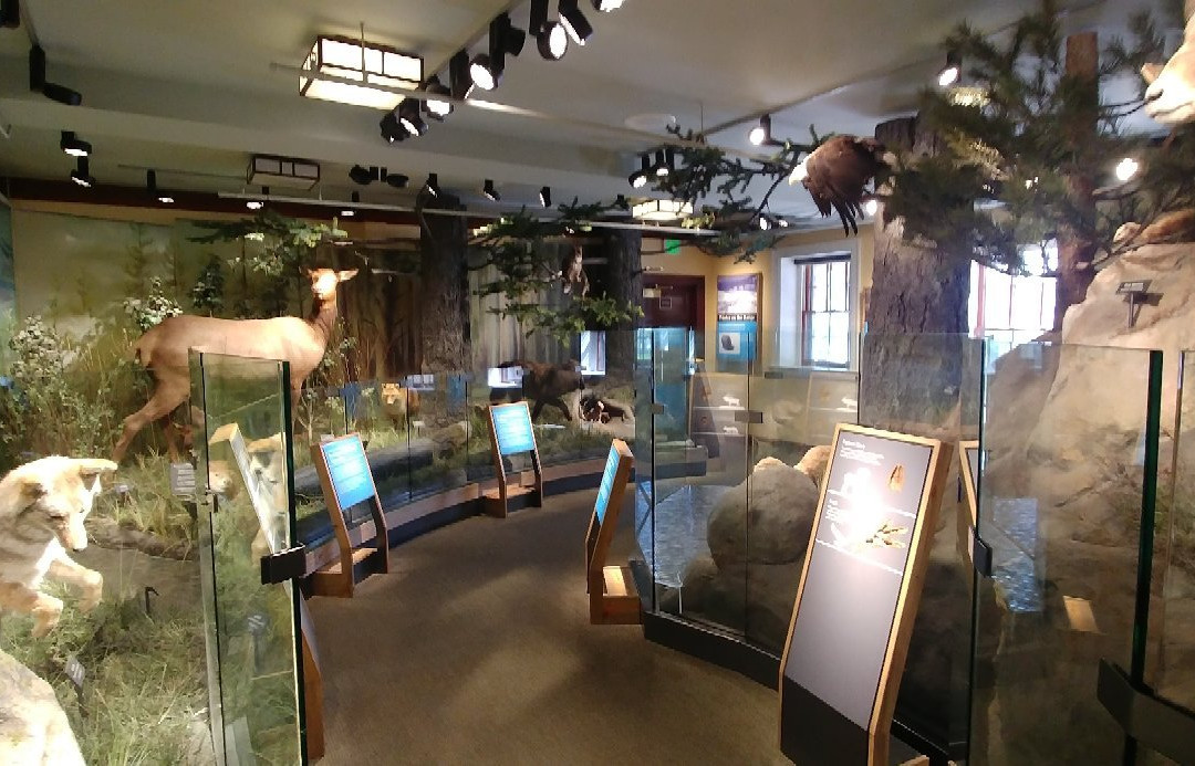 Albright Visitor Center and Museum景点图片