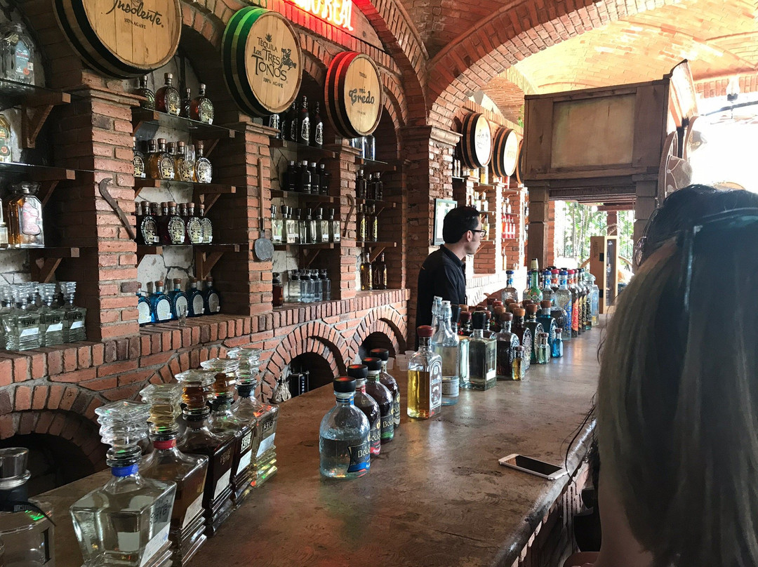 Mickey Marentes Tours & Experiences-特基拉必去景点