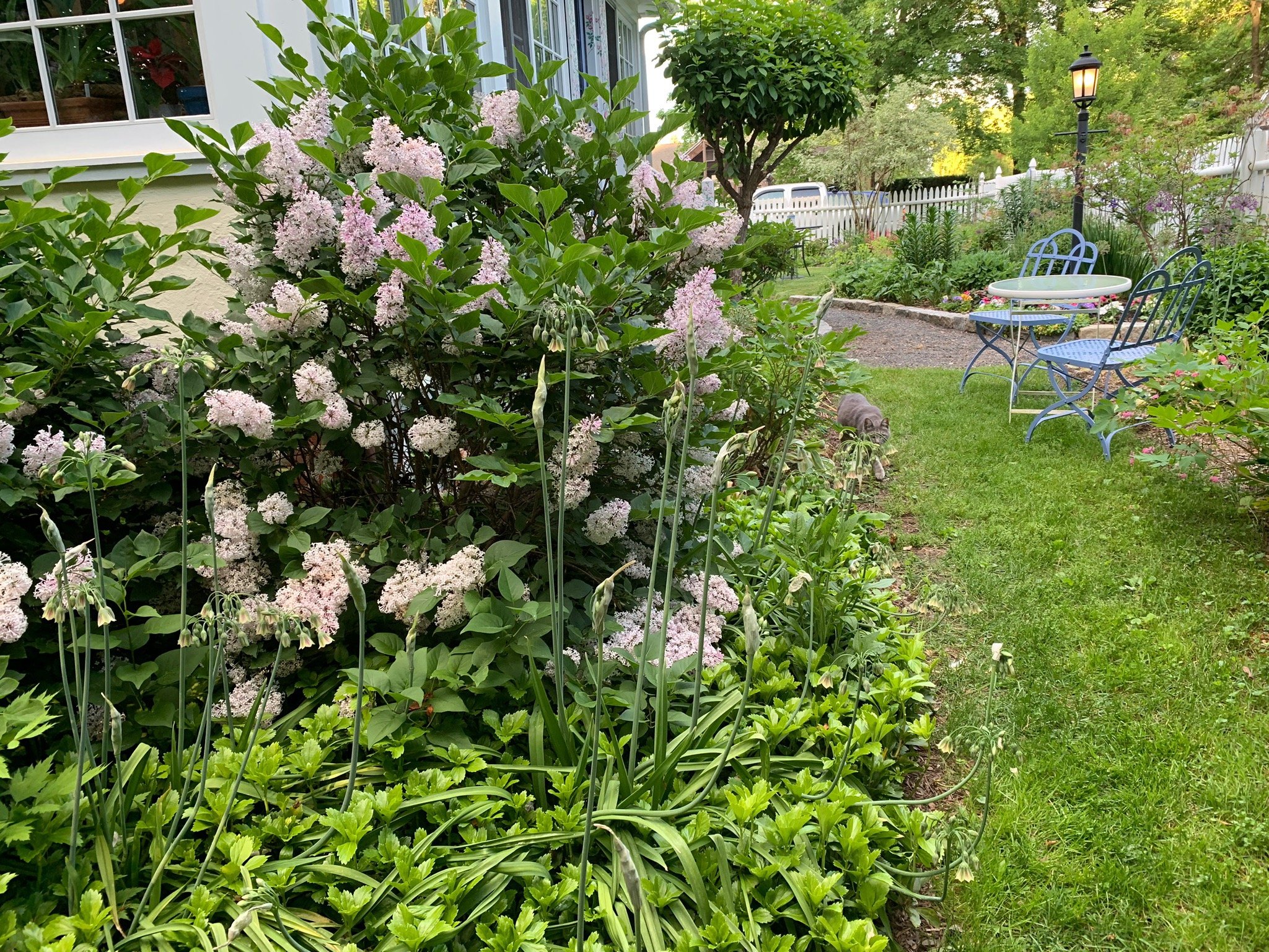 Stone House Farm Bed & Breakfast-浴室