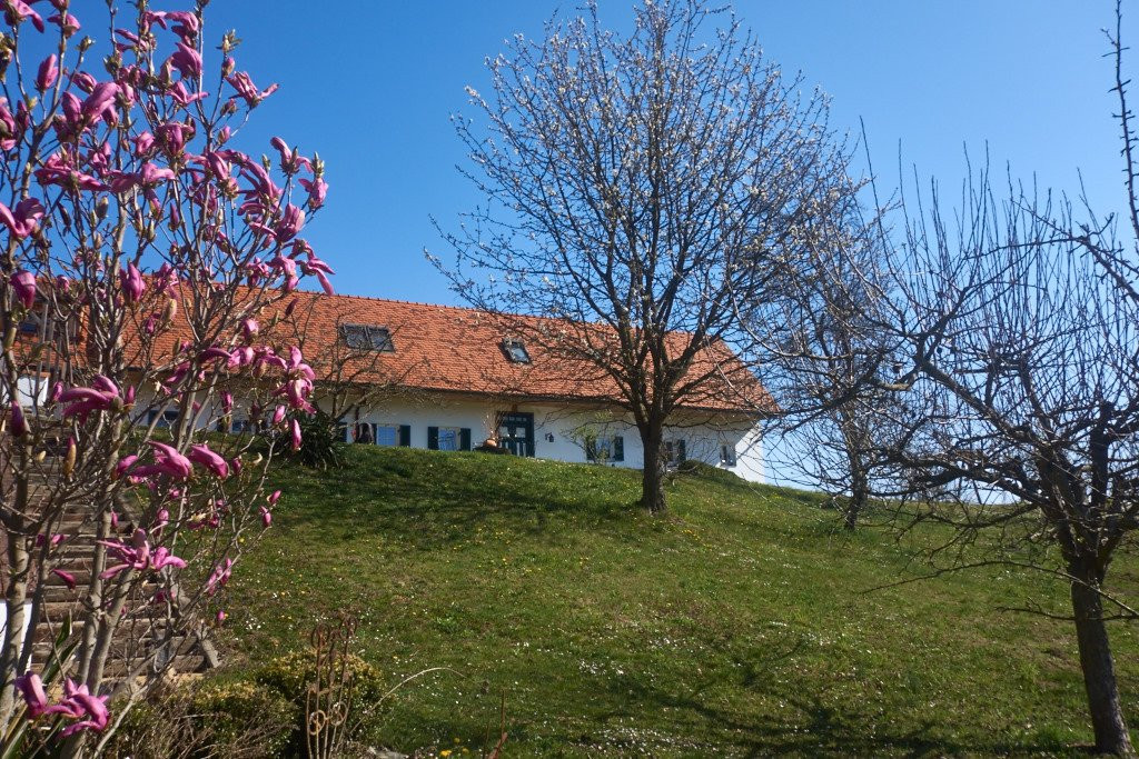 Sonnenhaus Grandl主图