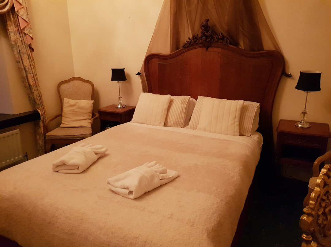 Dolbrodmaeth Riverside B&B主图