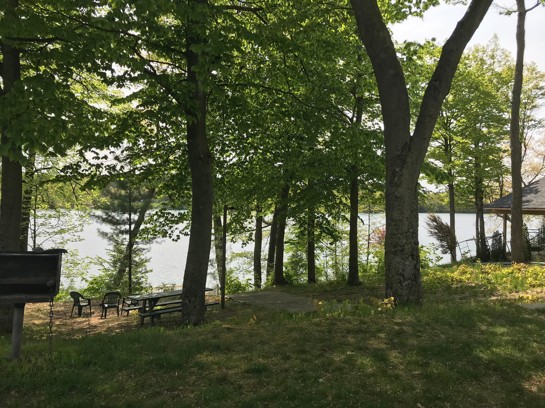 Dixon Lake Resort Motel主图