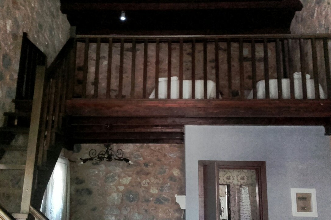 Pleiades Florina主图