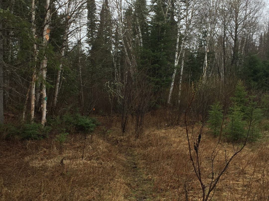 Small Falls-Manitouwadge必去景点
