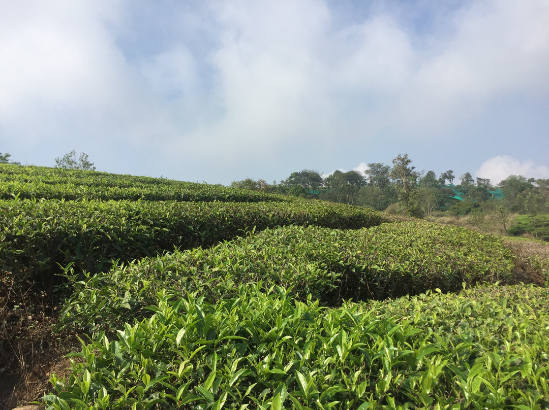 Meghamala Resorts主图