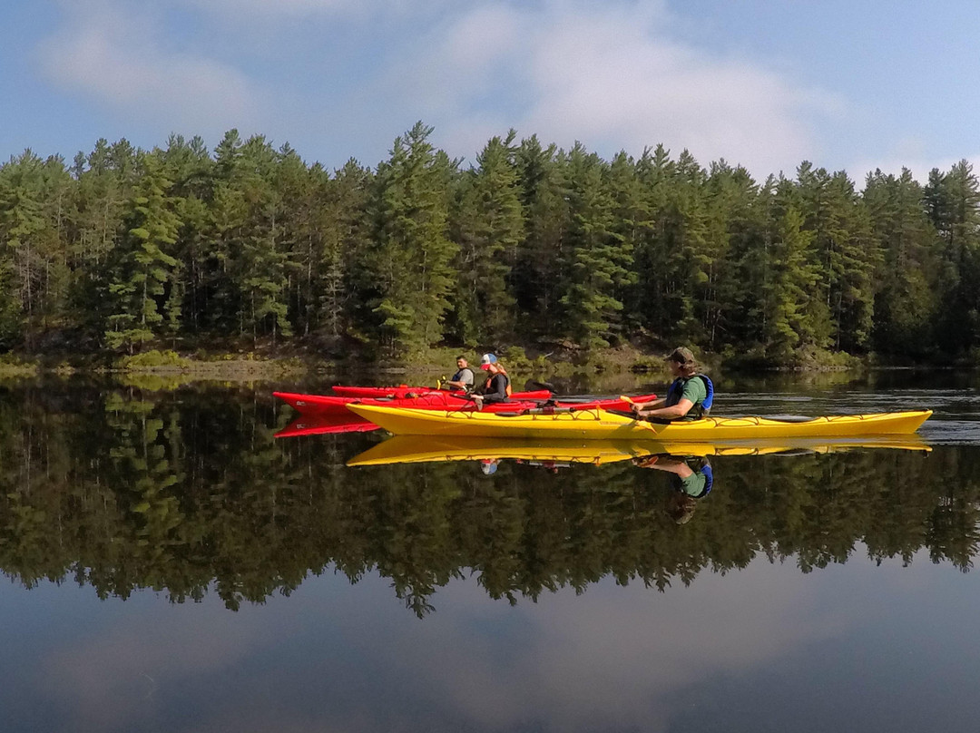 Shockwaves-Paddle Adventures and First Aid-诺斯贝必去景点