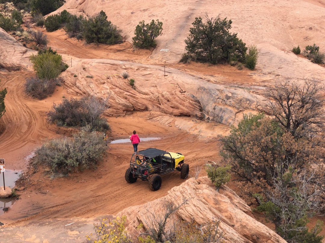 Slickrock Bike Trail-莫阿布必去景点