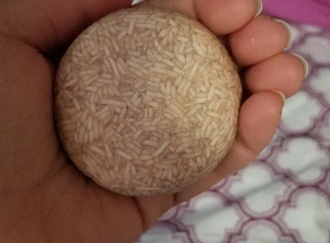 Basin at Disney Springs Marketplace-奥兰多必去景点