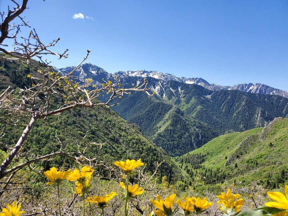 Grandeur Peak Trail景点图片