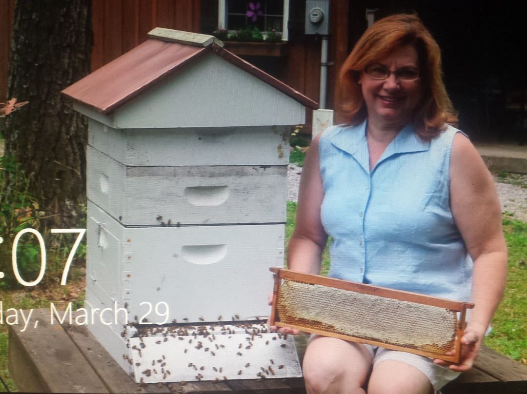 Appalachian Bee-Ocoee必去景点