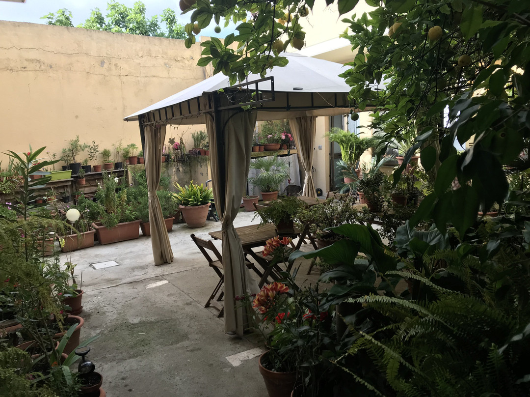 B&B Fiori e Limoni主图