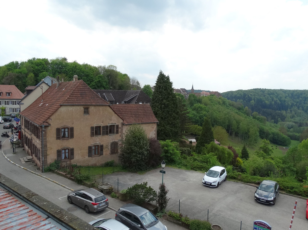 Hotel-Restaurant des Vosges主图