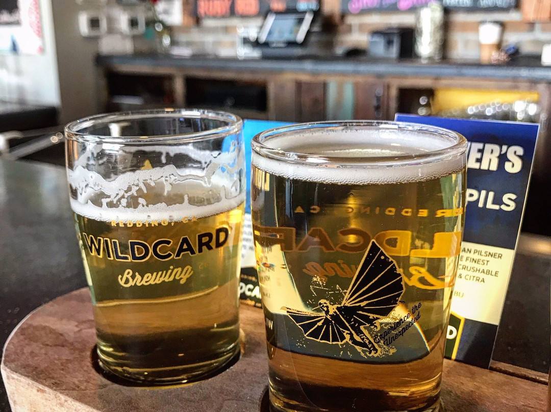 WILDCARD Brewing Company-雷丁必去景点