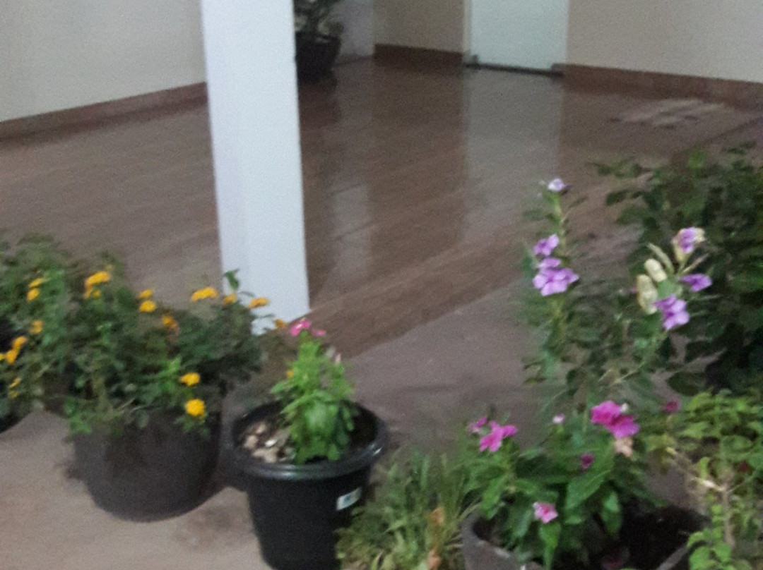 Pousada Coelho主图