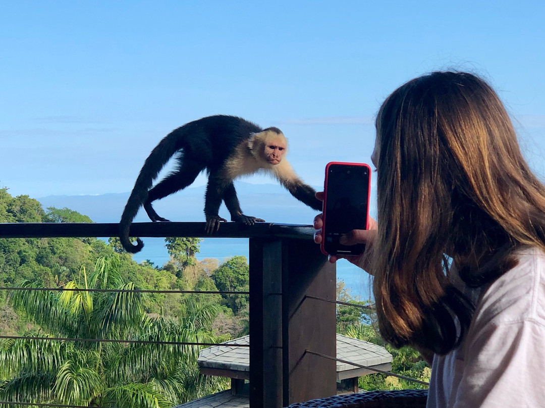 Tulemar Resort主图