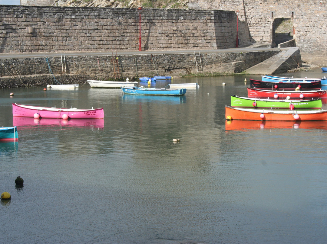 Quai Maurice Ravel景点图片