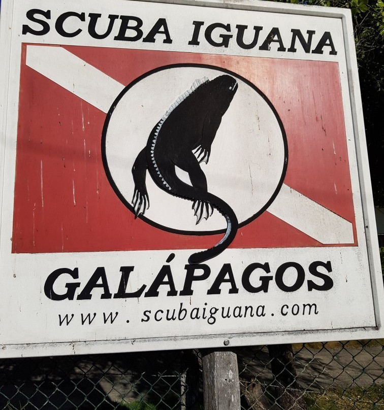 Scuba Iguana景点图片
