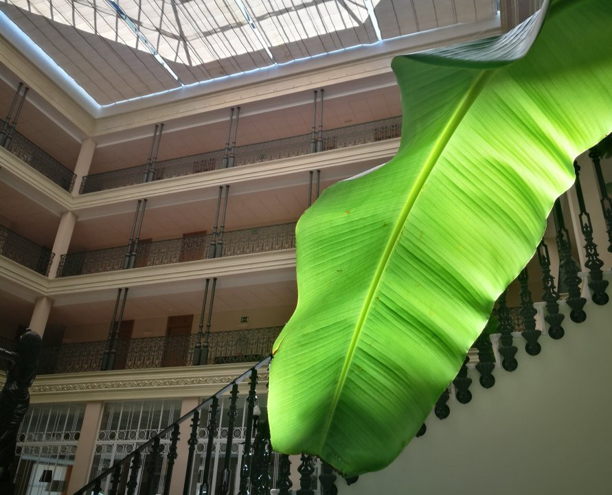 Gran Hotel Aqualange主图