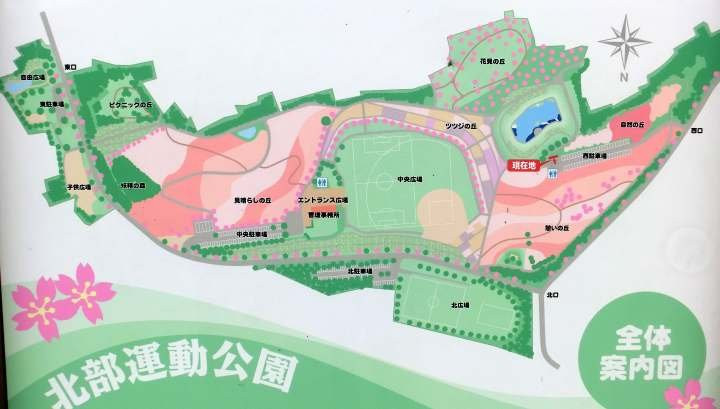 Ota City Hokubu Undo Park-太田市必去景点
