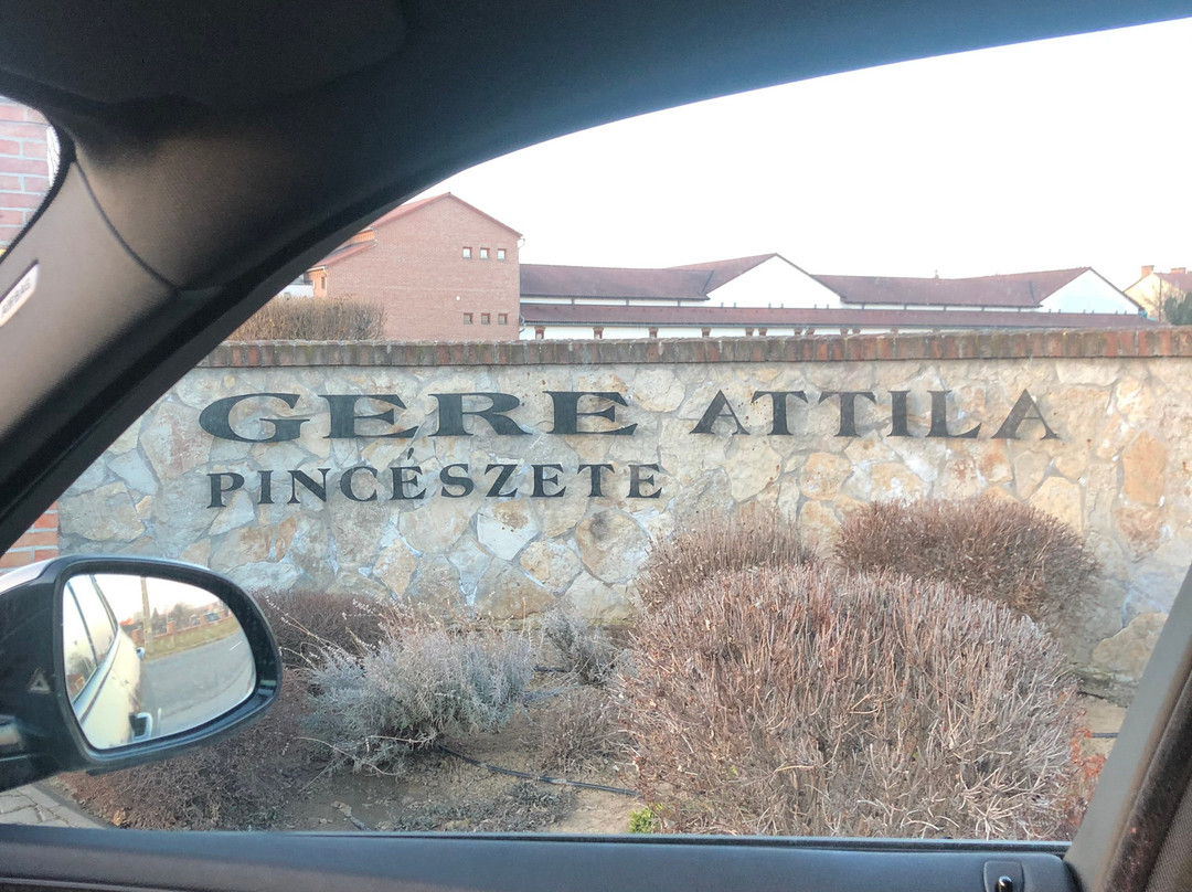 Crocus Gere Bor Hotel & Resort主图