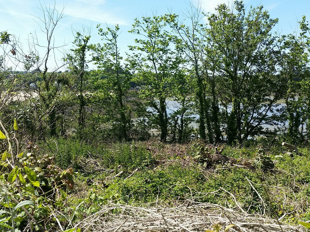 RSPB Hayle Estuary-Hayle必去景点